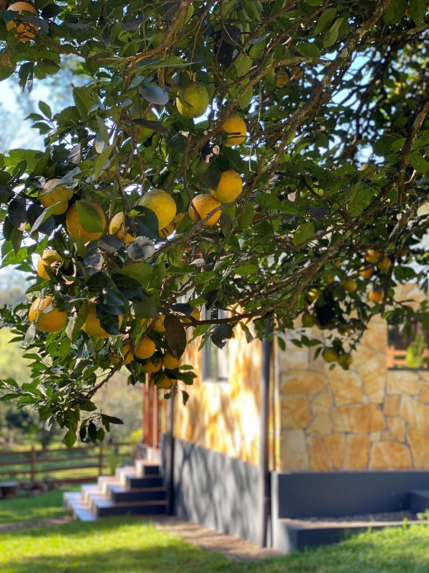 Casa De Campo Fichtelberger Hohenau Luaran gambar